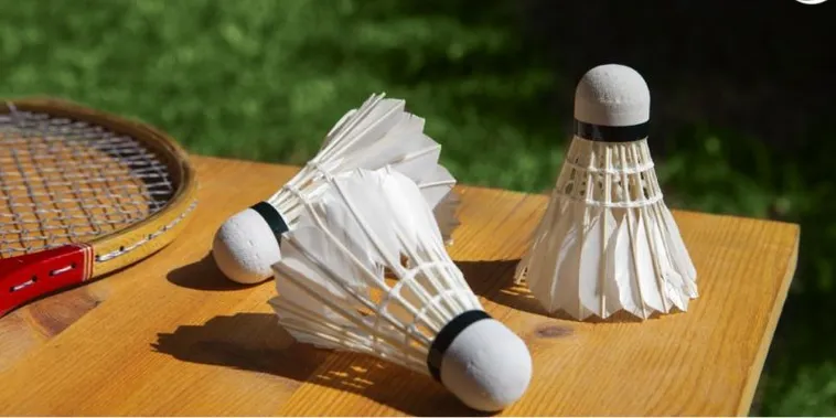 Cách Chơi Cá Cược Cầu Lông Tại VN86 Đơn Giản Dễ Thắng Cho Người Mới