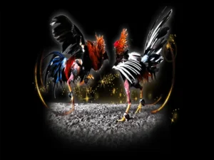 Hé Lộ Cách Chơi Đá Gà Sabong Tại VN86 Chuẩn Sư Kê Philippines