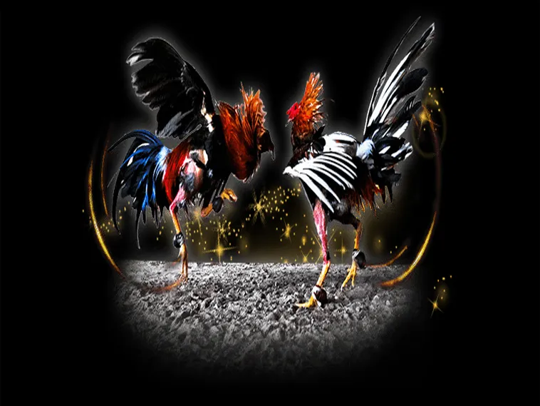 Hé Lộ Cách Chơi Đá Gà Sabong Tại VN86 Chuẩn Sư Kê Philippines